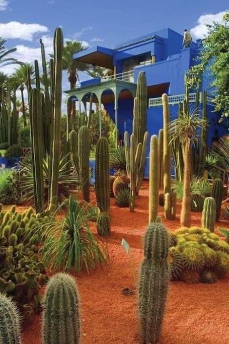 Jardin Majorelle Appartement